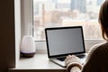 Female working on laptop by window with air diffuser in cozy urban setting Royalty Free Stock Photo
