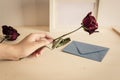 Female& x27;s hand holding dry rose with blue letter and blank frame Royalty Free Stock Photo