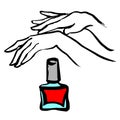 Female young hands with a pink nail polish bottle. Vector.