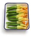 Female zucchini flowers Royalty Free Stock Photo