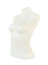 Femalemale mannequin on white background Royalty Free Stock Photo