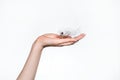 A females hand holds a bunch of fallen hair. Copy space. White background. Concept of hair loss and care