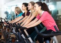 Females training on exercise bikes Royalty Free Stock Photo