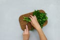 Femine hands chopping fresh green parsley and dill or fennel on cutting boar on gray wooden table. Top view. Copy space. Royalty Free Stock Photo