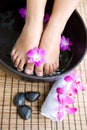 Feminine feet in foot spa bow