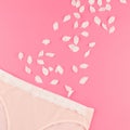 Feminine flat lay female panties and white petals Royalty Free Stock Photo