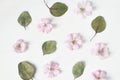 Feminine floral pattern. Dry eucalyptus leaves and pink Japanese cherry tree blossoms on old white wooden table