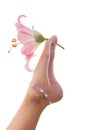 Feminine foot care hygiene. Female feet in socks with a flower is isolated on a white background