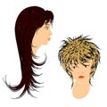 Feminine hairdos. Royalty Free Stock Photo