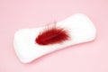 Feminine hygiene photo. Red feather and menstrual woman pads for hygiene in blood period. Menstruation sanitary soft pad, hygiene