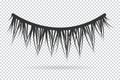 Feminine lashes vector. False eyelashes