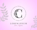 Feminine Letter C Logo with Nature Leaves Texture Design Logo Icon. Creative Beauty Alphabetical Beauty Nature Logo Template