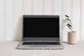 Feminine modern sparse workspace composition. Notebook mock-up scene. Pink ceramic vase with olive branch and laptop on