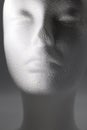 Feminine or nonbinary Styrofoam mannequin head using light and shadow