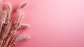 Feminine Oriental Minimalism: White Wheat On Pink Background