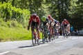 The Feminine Peloton - La Course by Le Tour de France 2019