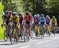 The Feminine Peloton - La Course by Le Tour de France 2019