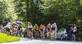 The Feminine Peloton - La Course by Le Tour de France 2019