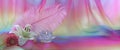 Feminine Rainbow Chiffon Feather and Flower Holistic Background - Royalty Free Stock Photo