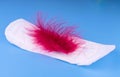 Feminine sanitary napkin with a red feather on a blue background. Concept of womens menstrual days. Royalty Free Stock Photo