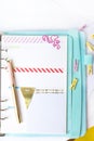 Feminine stationery: colorful paper binder clips palm and flamin Royalty Free Stock Photo