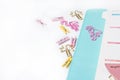Feminine stationery: colorful paper binder clips palm and flamin Royalty Free Stock Photo