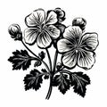 Feminine Sticker Art: Detailed Black And White Geranium Flower Drawings