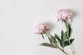 Feminine styled stock photo with pink peony flowers and green leaves isolated on white table background. Flat lay, top