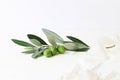 Feminine styled stock photography. Closeup of olive branch decorated by silk ribbon on white table background Royalty Free Stock Photo