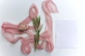 Feminine-styled stock photography and white blank paper card. Closeup of olive branch decorated by a silk ribbon and seashell on Royalty Free Stock Photo