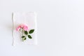 Feminine vertical birthday mock-up scene. Blank paper greeting pink roses, peony flowers on white table background