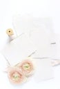 Feminine wedding, birthday desktop mock-up scene. Blank craft paper greeting cards, silk ribbon and blush pink Persian Royalty Free Stock Photo