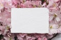 Feminine wedding, birthday mockup scene. Closeup of blank cotton paper card, invitation on pink floral petals. Sakura