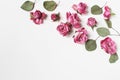 Feminine wedding desktop composition with pink roses flowers, dry green eucalyptus leaves isolated on white table Royalty Free Stock Photo