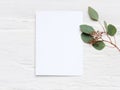 Feminine wedding desktop mock-up with blank paper card and Eucalyptus populus branch on white shabby table background