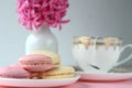 Pink hyacinth, gold white porcelain tea cup and French macarons on pink background. Royalty Free Stock Photo