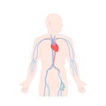 Femoral central line venous catheter on male body