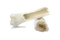 Femur bones from a sun bleached cow bovine found in nature in a pasture now serves as a dog chew toy. remains of old buffalo or