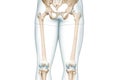 Femur or thighbone with thigh body contours rear view 3D rendering illustration isolated on white with copy space. Human skeleton Royalty Free Stock Photo