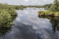 Fen in nature area Groote Peel Royalty Free Stock Photo