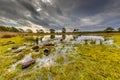 Fen in nature reserve Tongerense heide Royalty Free Stock Photo