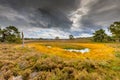 Fen in nature reserve Tongerense heide Royalty Free Stock Photo