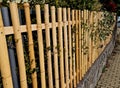 the fence around the house is made of split bamboo. half logs screwed Royalty Free Stock Photo