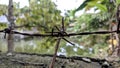 fence background of stretched wire, looks very sharp