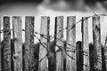 Fence With Barbed Wire Royalty Free Stock Photo