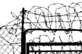 Fence with barbed wire