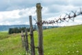 Fence with barbed wire. Fence in the field. Meadow grass with flowers. Royalty Free Stock Photo