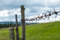 Fence with barbed wire. Fence in the field. Meadow grass with flowers. Royalty Free Stock Photo