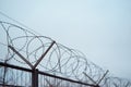 Fence with barbed wire. focus with shallow depth of field. Royalty Free Stock Photo