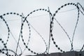 Fence with barbed wire. focus with shallow depth of field. Royalty Free Stock Photo